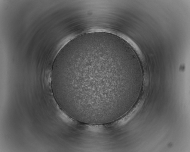 X0000101150809200807111004