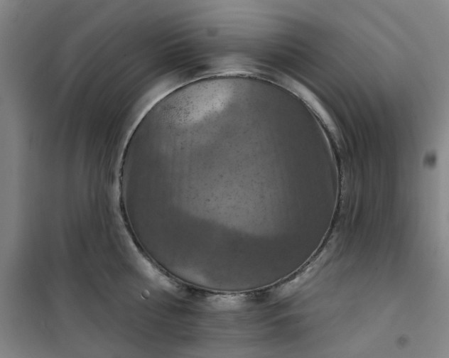 X0000101150810200807111004