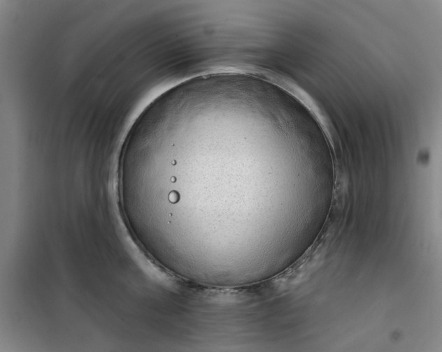 X0000101150811200807111004