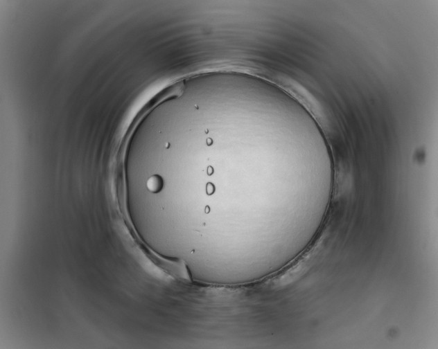 X0000101150812200807111004