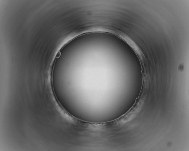 X0000101150813200807111004