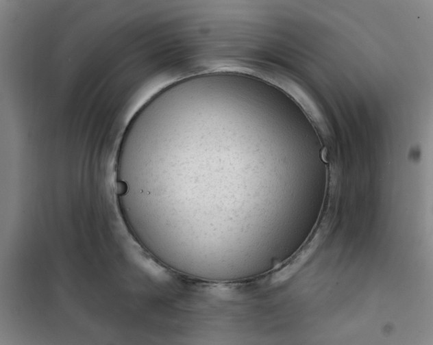 X0000101150814200807111004