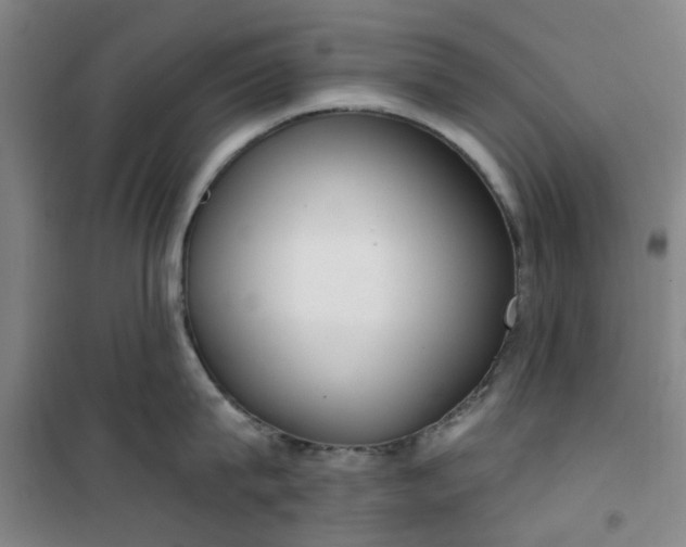 X0000101150815200807111004