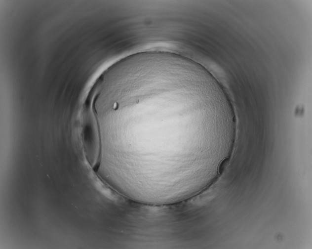 X0000101150816200807111004