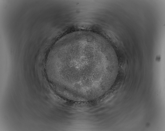 X0000101150817200807111003