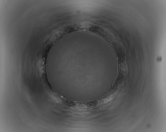 X0000101150818200807111003