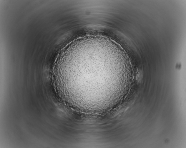 X0000101150819200807111003