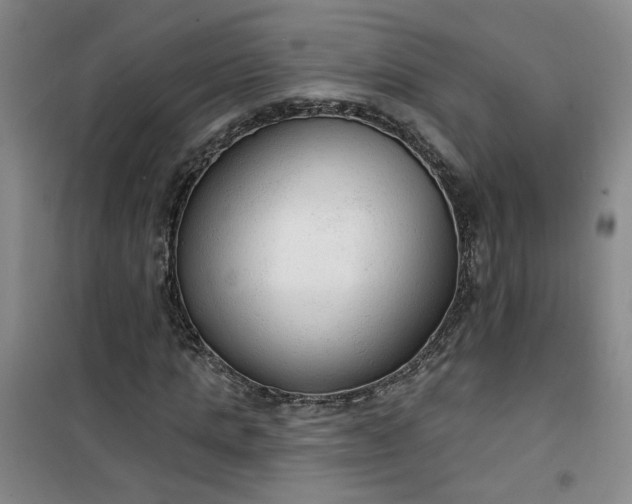 X0000101150821200807111003