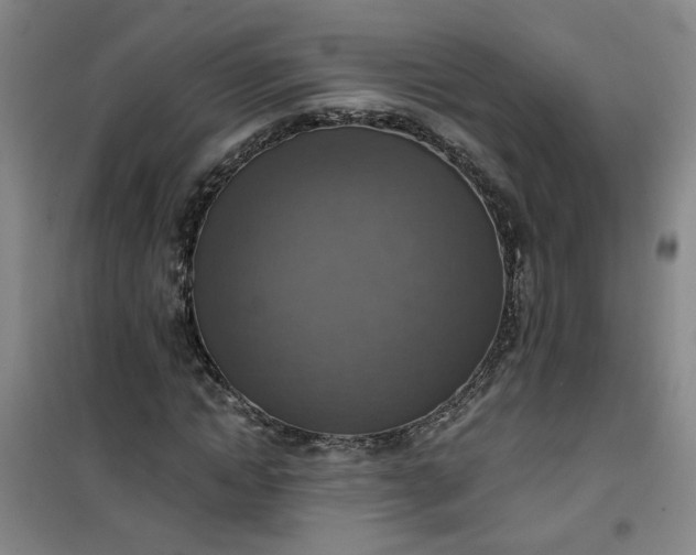 X0000101150822200807111003