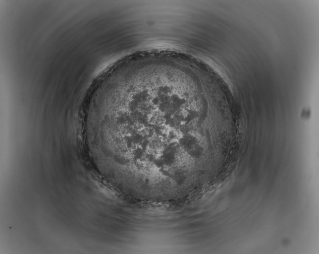 X0000101150823200807111003