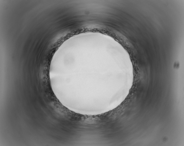 X0000101150824200807111003