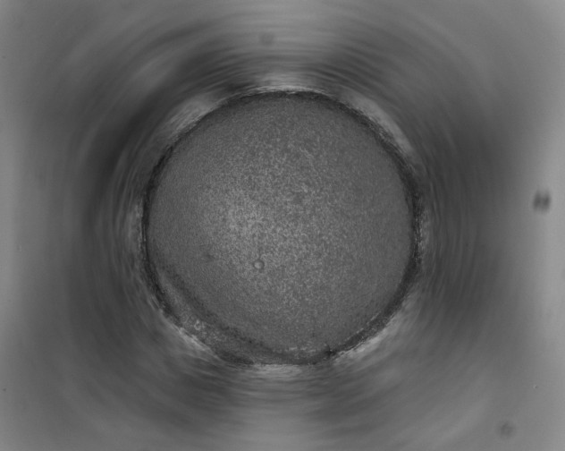 X0000101150825200807111003