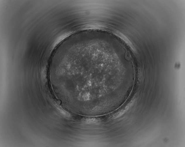 X0000101150826200807111003