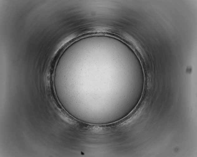 X0000101150827200807111003