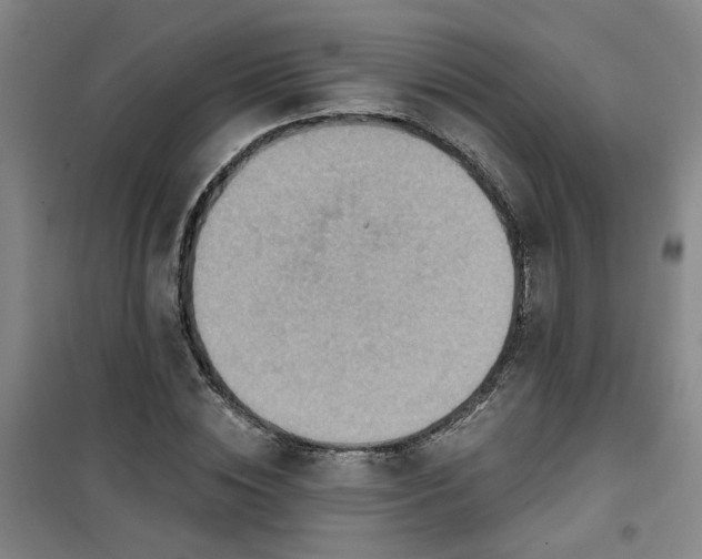 X0000101150828200807111003