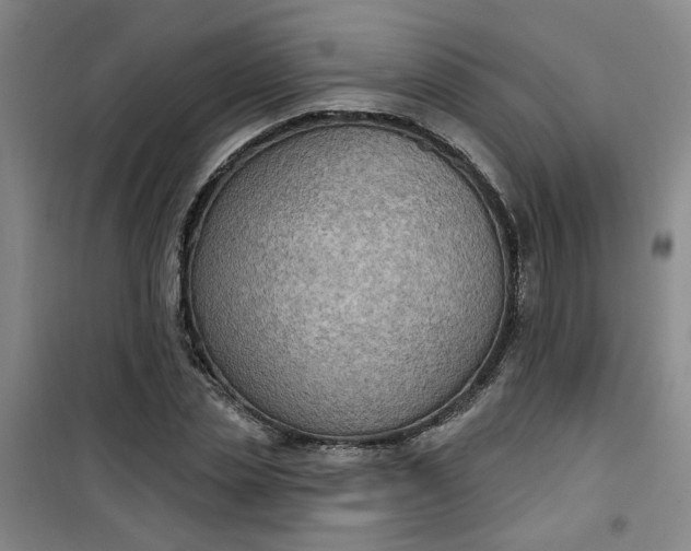 X0000101150829200807111003