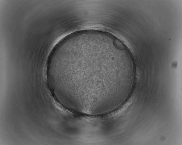 X0000101150830200807111003