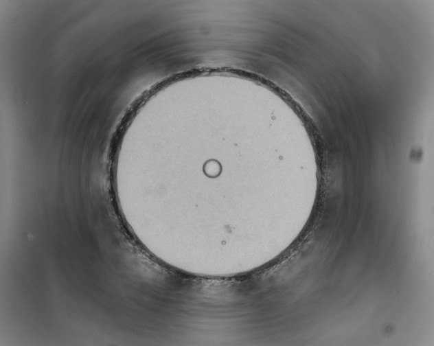 X0000101150832200807111003