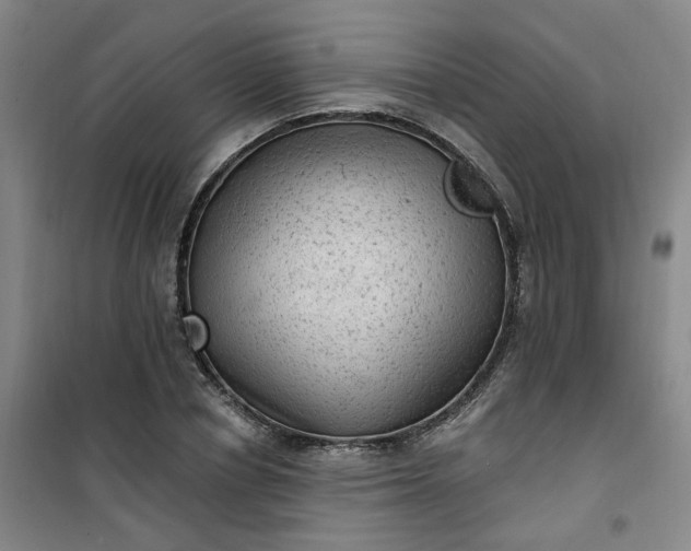 X0000101150834200807111003