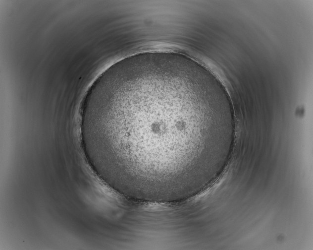 X0000101150835200807111004