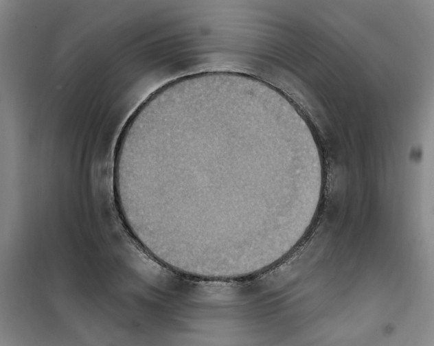 X0000101150836200807111004