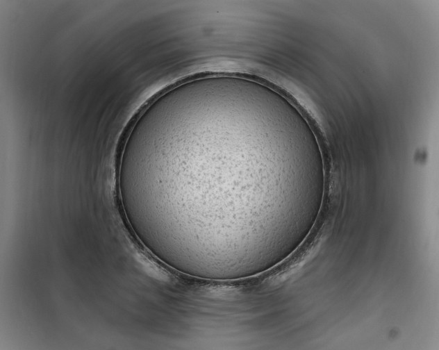 X0000101150837200807111004