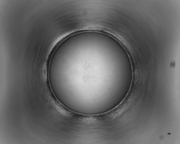 X0000101150838200807111004