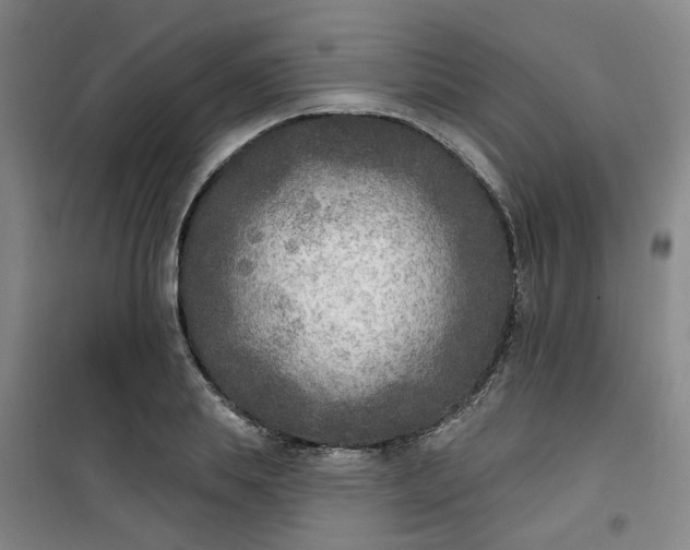 X0000101150839200807111004