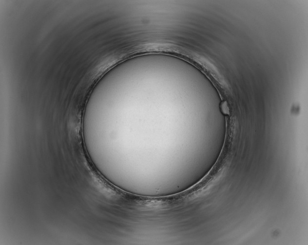 X0000101150841200807111004