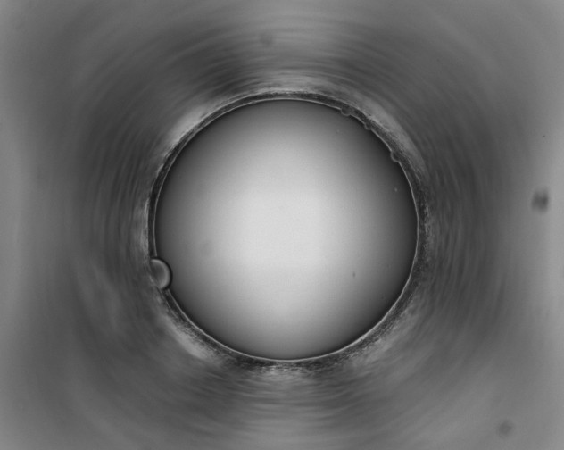 X0000101150842200807111004