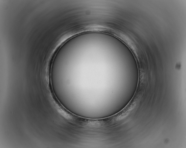 X0000101150843200807111004