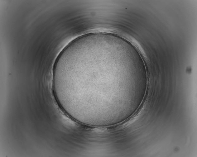 X0000101150844200807111004