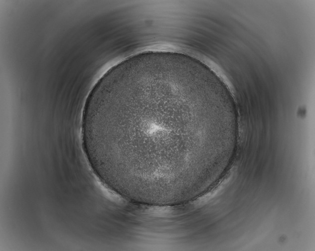 X0000101150845200807111004