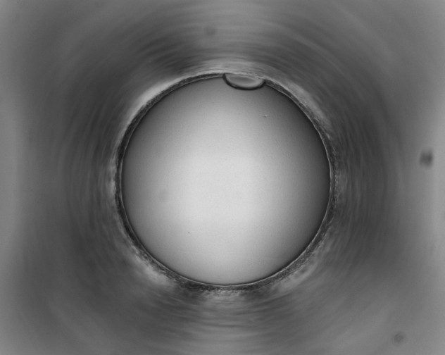 X0000101150846200807111004