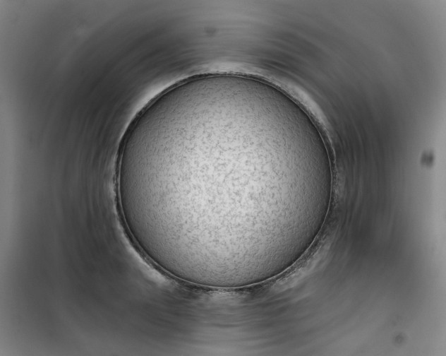 X0000101150847200807111004