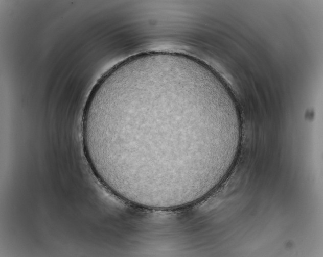 X0000101150848200807111004