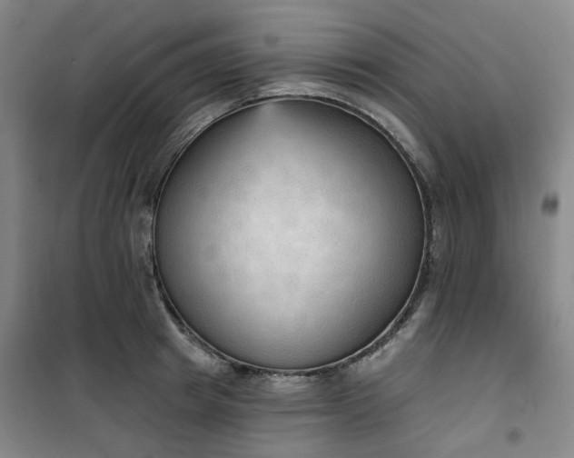 X0000101150849200807111004