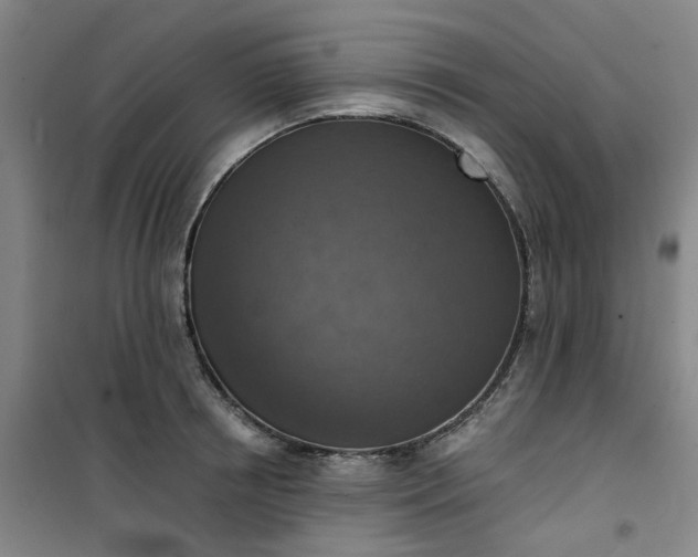 X0000101150850200807111004