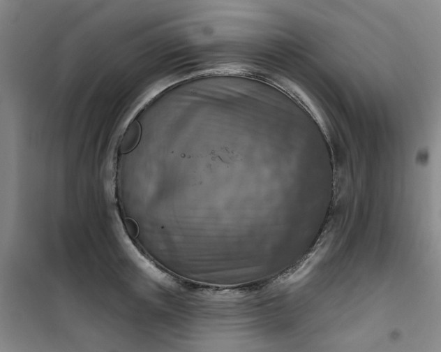 X0000101150851200807111004