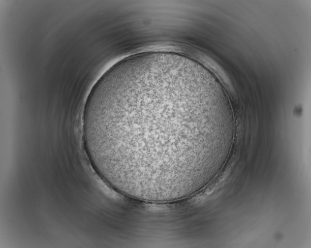 X0000101150852200807111004