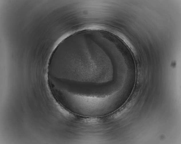 X0000101150853200807111004