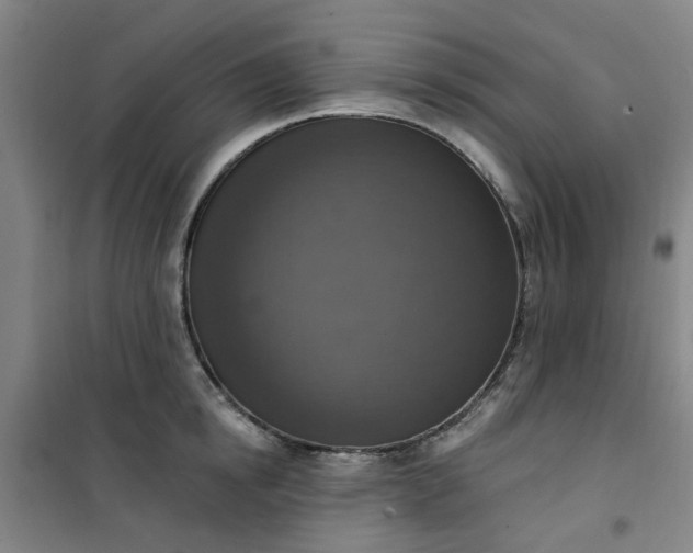 X0000101150854200807111004