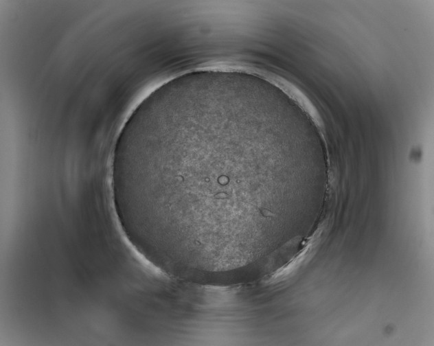 X0000101150855200807111004