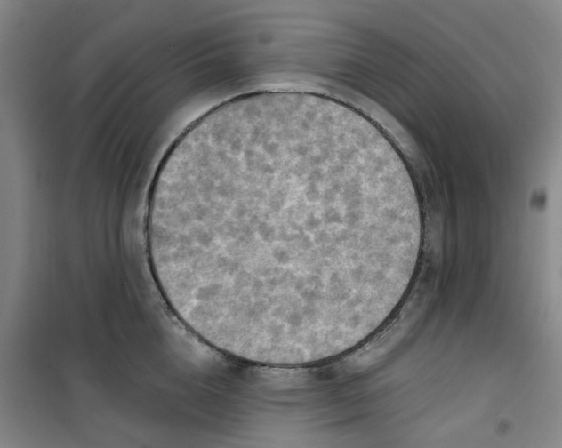 X0000101150856200807111004