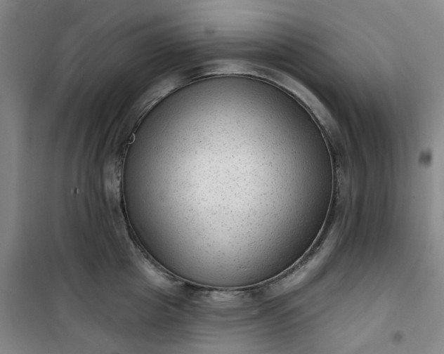 X0000101150857200807111004