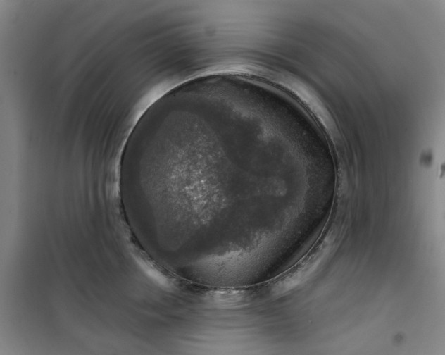 X0000101150858200807111004