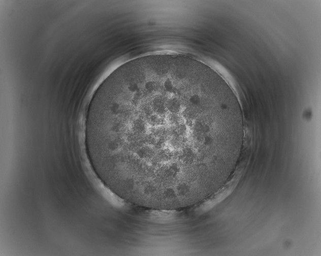 X0000101150859200807111004