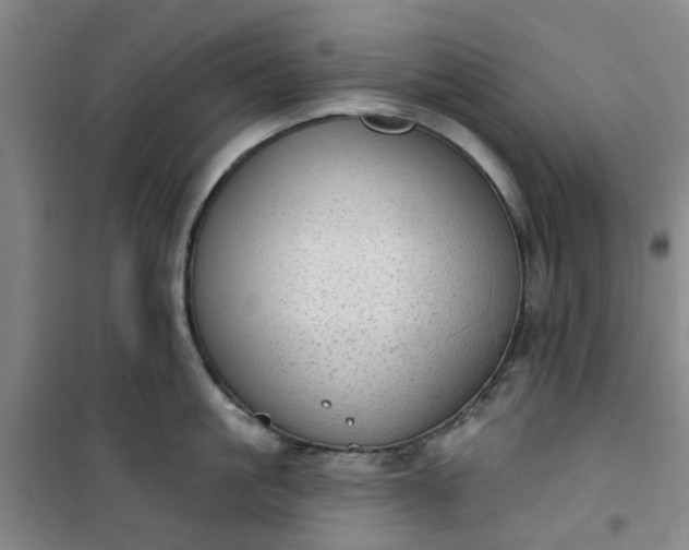 X0000101150861200807111004