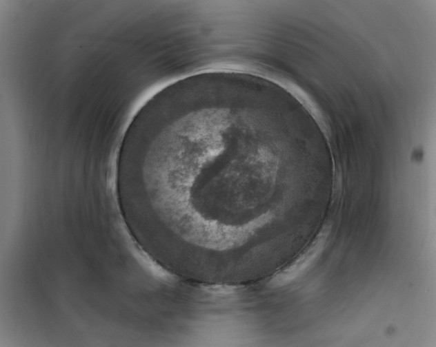 X0000101150862200807111004