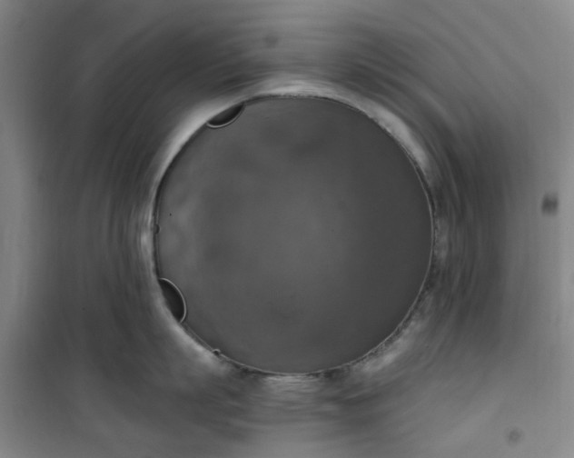 X0000101150863200807111004